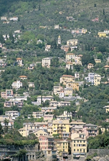 Italian Riviera Views Prints: Liguria coast