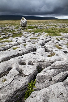 Limestone Pavement UK Prints: Limestone Pavement and Standing Stone