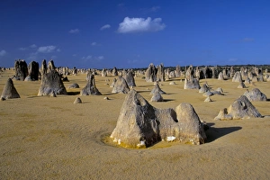 Pinnacles Desert Prints: Limestone pillars in the Pinnacles Desert, Nambung National Park, Western Australia