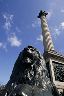 Lion Print below Nelson's Column