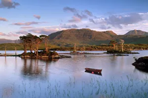 Loch Assynt Print: Scots pines and a boat