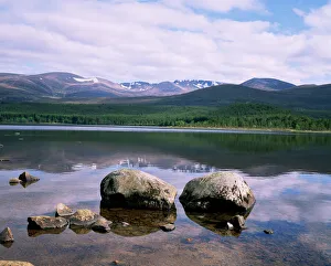Prints of Loch Morlich and the Cairngorms, Aviemore, Highland region, Scotland, United Kingdom, Europe Scotland Prints: Loch Morlich Print, Aviemore Landscape