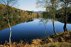 Prints of Loch Tummel, near Pitlochry, Tayside, Scotland, United Kingdom, Europe Lake Prints: Loch Tummel Print, a serene Scottish landscape