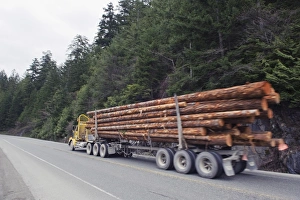Logging truck in MacMillan Provincial Park, Vancouver Island, British Columbia Logging truck in MacMillan Provincial Park, Vancouver Island, British Columbia