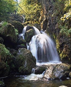 Lordor Cascade, Borrowdale, Lake District, Cumbria, England, United Kingdom, Europe Lordor Cascade, Borrowdale, Lake District, Cumbria, England, United Kingdom, Europe