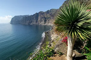 Los Gigantes cliffs, Tenerife, Canary Islands, Spain Los Gigantes cliffs, Tenerife, Canary Islands, Spain