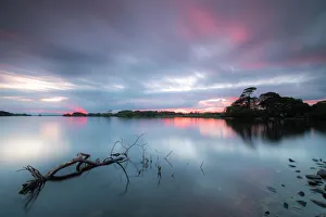 Lough Leane lake, Killarney National Park, County Kerry, Munster, Republic of Ireland Lough Leane lake, Killarney National Park, County Kerry, Munster, Republic of Ireland