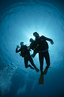 Scuba Diving Egypt Prints: Low angle view of three scuba divers
