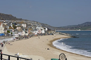 Lyme Regis, Dorset, England, United Kingdom, Europe Lyme Regis, Dorset, England, United Kingdom, Europe