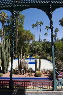 Majorelle Gardens, Marrakech, Morocco, North Africa, Africa Majorelle Gardens, Marrakech, Morocco, North Africa, Africa