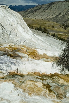 Mammoth Hot Springs Mammoth Hot Springs