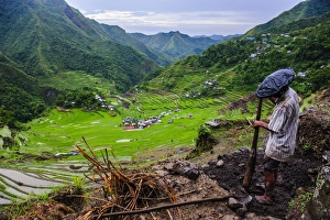 UNESCO World Heritage Site Philippines Prints: Man working in the Batad rice terraces