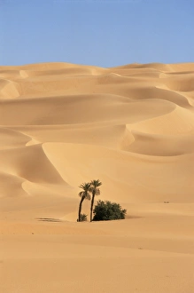 North African Dunes Prints: Mandara area