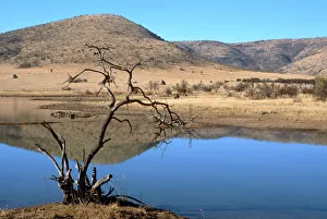 Mankwe Dam, central lake in the Pilanesberg National Park, North West Province Mankwe Dam, central lake in the Pilanesberg National Park, North West Province