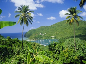 West Indies Photography Prints: Marigott Bay