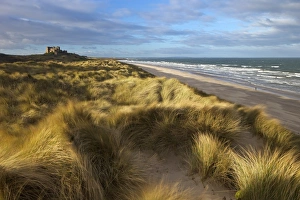 Marram grass, beach and surf with Bamburgh Castle in distance, Bamburgh, Northumberland, England, United Kingdom Marram grass, beach and surf with Bamburgh Castle in distance, Bamburgh, Northumberland, England, United Kingdom