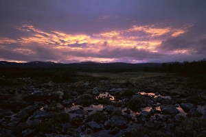 Sunset In Norway Prints: Marsh at sunset