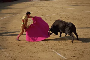 Matador and bull during a bullfight in Arles, Bouches du Rhone, Provence, France, Europe Matador and bull during a bullfight in Arles, Bouches du Rhone, Provence, France, Europe