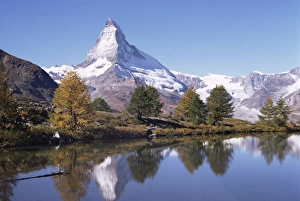 Matterhorn Lake Reflection Prints: The Matterhorn reflected in Grindjilake
