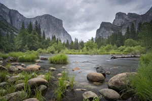 Print of The Merced River at Valley View in Yosemite National Park