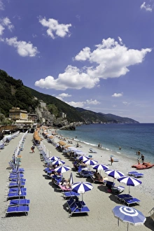 Monterosso al Mare, Cinque Terre, UNESCO World Heritage Site, Liguria, Italy, Europe Monterosso al Mare, Cinque Terre, UNESCO World Heritage Site, Liguria, Italy, Europe