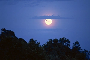 East Africa Landscape Prints: Moon, Kenya
