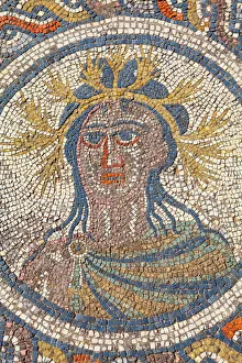 Mosaic detail from the House of Dionysus, Volubilis, UNESCO World Heritage Site, Morocco Mosaic detail from the House of Dionysus, Volubilis, UNESCO World Heritage Site, Morocco