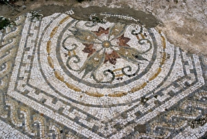 Mosaic from Roman site of Cherchell, buried under the new city, Cherchell Mosaic from Roman site of Cherchell, buried under the new city, Cherchell