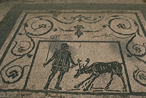 Ostia Antica Archaeological Site Prints: Mosaic trade emblems