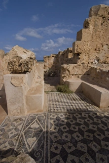 Mosaics at Theatre Baths, Roman site of Sabratha, UNESCO World Heritage Site Mosaics at Theatre Baths, Roman site of Sabratha, UNESCO World Heritage Site