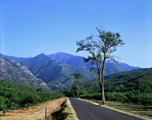 Mount Canigou, Pyrenees-Orientale, Languedoc Roussillon, France, Europe Mount Canigou, Pyrenees-Orientale, Languedoc Roussillon, France, Europe