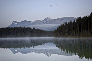 Mount Edith Cavell Print, Jasper National Park, Alberta, Canada