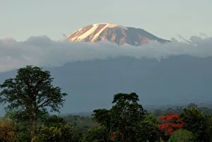 Mount Kilimanjaro, UNESCO World Heritage Site, Tanzania, East Africa, Africa Mount Kilimanjaro, UNESCO World Heritage Site, Tanzania, East Africa, Africa