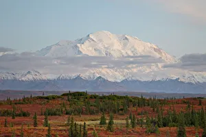 Mount McKinley (Mount Denali) at sunset in the fall, Denali National Park and Preserve Mount McKinley (Mount Denali) at sunset in the fall, Denali National Park and Preserve
