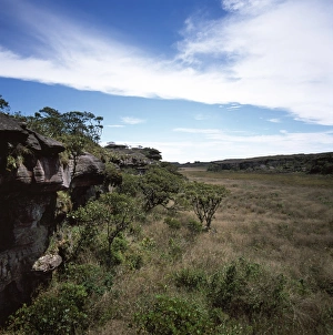 Brazilian Nature Scenery Prints: Mount Roraima summit, swamp and scrub, Brazilian sector, Roraima State