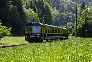 Rural Switzerland Landscape Prints: Mountain train
