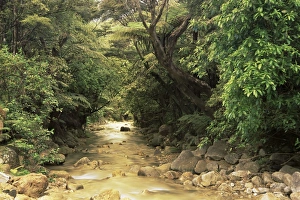 Serene Mountain Scenery Prints: Mountains stream