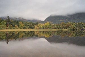 Muckross Lake, Killatney National Park, County Kerry, Munster, Republic of Ireland Muckross Lake, Killatney National Park, County Kerry, Munster, Republic of Ireland