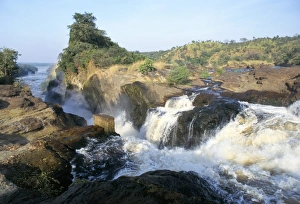 Prints of Murchison Falls, Murchison Falls National Park, Uganda, East Africa, Africa Uganda Prints: Murchison Falls Print - Uganda Landscape