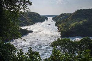 Murchison Falls, also known as Kabarega Falls on the Nile, Murchison Falls National Park, Uganda, Africa Murchison Falls, also known as Kabarega Falls on the Nile, Murchison Falls National Park, Uganda, Africa