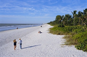 Florida Travel Destination Prints: Naples Beach