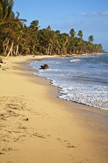 Central America Coastlines Prints: Nicar-812