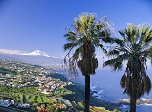 Tenerife Tourism Prints: North coast and Mount Teide