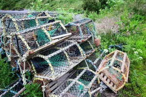 Old lobster pots at Catterline, Aberdeenshire, Scotland, United Kingdom, europe Old lobster pots at Catterline, Aberdeenshire, Scotland, United Kingdom, europe