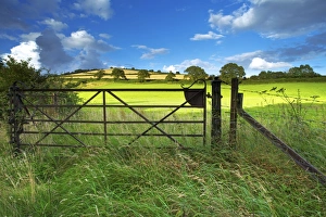 UK Nature Scenes Prints: Old Railway Gate, Exe Valley, Devon, England, United Kingdom, Europe