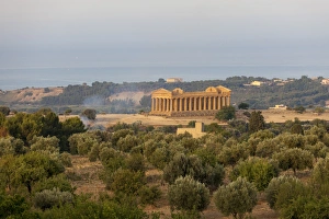 The olive grove frames the Temple of Concordia, an ancient Greek temple in the Valle dei Templi The olive grove frames the Temple of Concordia, an ancient Greek temple in the Valle dei Templi