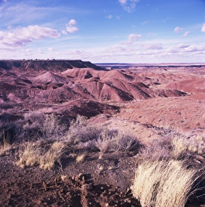 Remote Landscape Photography Prints: Painted Desert