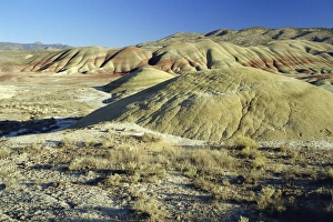 Painted Hills Oregon Prints: The Painted Hills