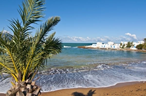 Palm and beach at beach resort on the Mediterranean coast near Tipasa, Algeria Palm and beach at beach resort on the Mediterranean coast near Tipasa, Algeria