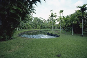 Mauritius Tourism Prints: Pamplemousse Gardens